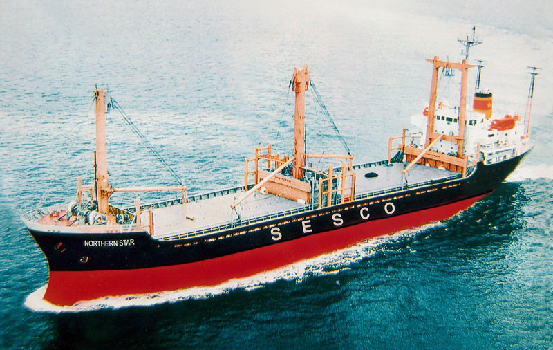 Mv. SOUTHERN STAR